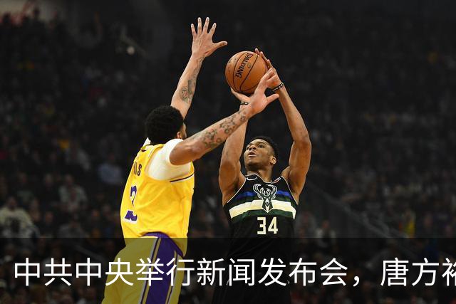 中共中央举行新闻发布会，唐方裕：《决定》的起草是在党中央领导下进行的