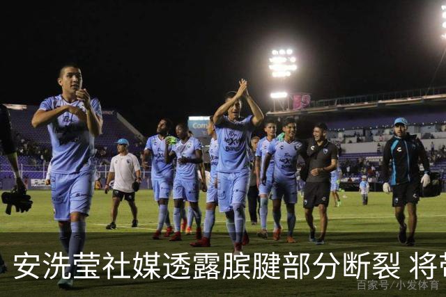 安洗莹社媒透露膑腱部分断裂 将带伤出战巴黎奥运