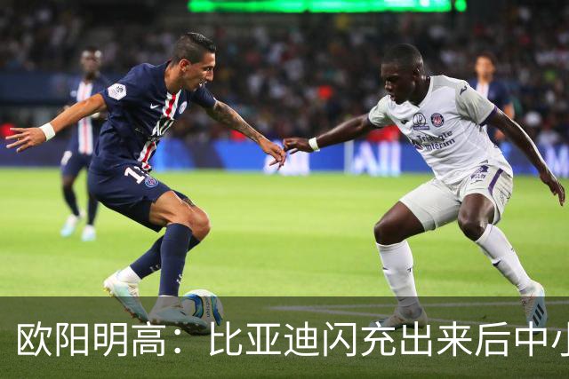欧阳明高：比亚迪闪充出来后中小厂家、电池厂很焦虑 因为闪充投资太大