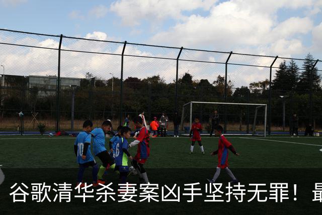 谷歌清华杀妻案凶手坚持无罪！最新庭审称愿在精神病院关到死，案发近3年砸千万保命？