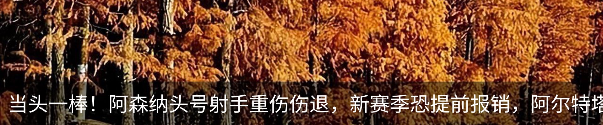 新闻中心