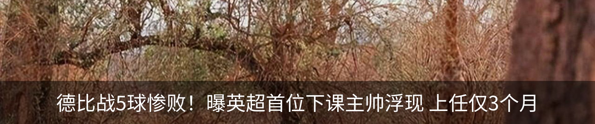 新闻中心