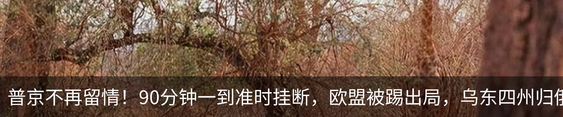 新闻中心
