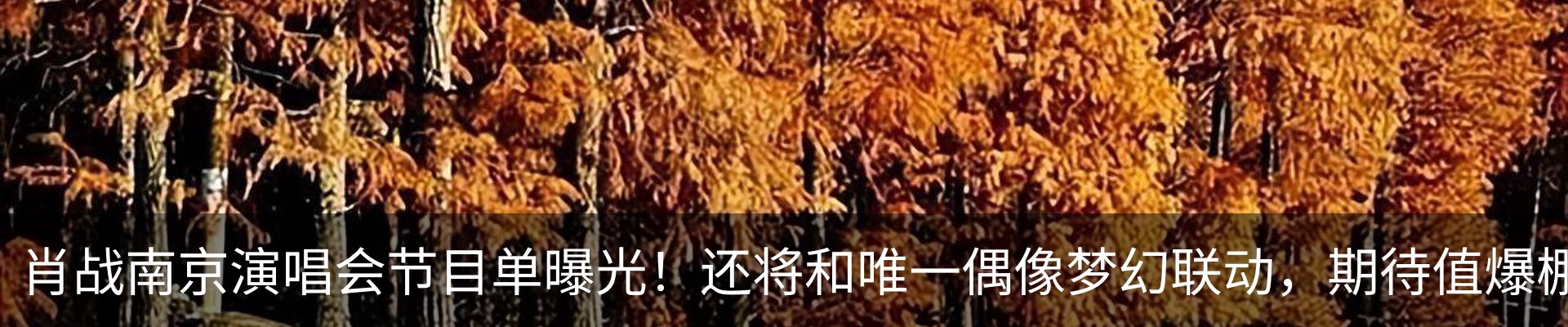 新闻中心