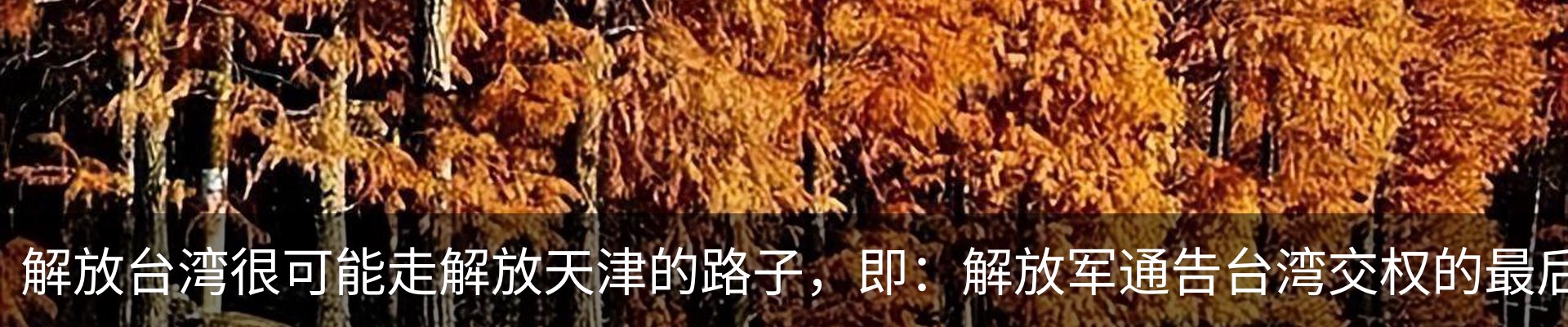 新闻中心