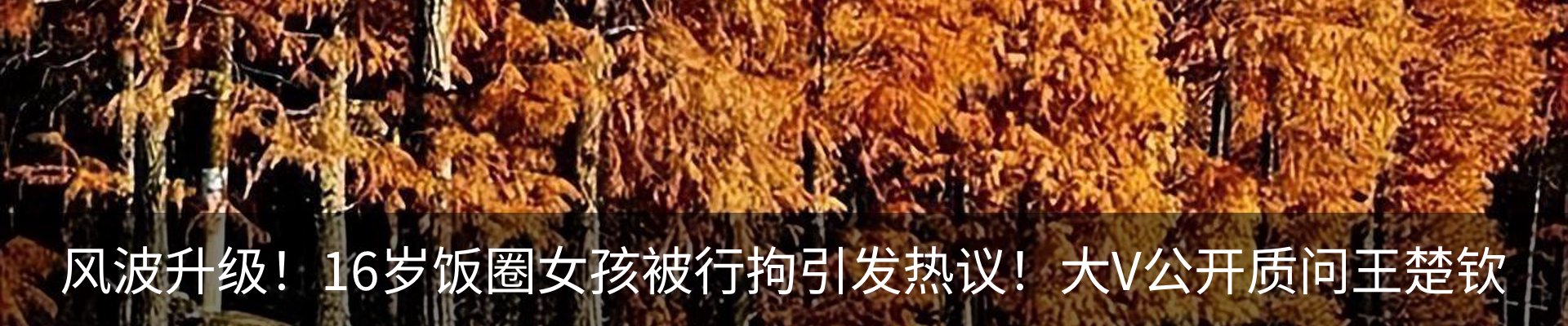 新闻中心