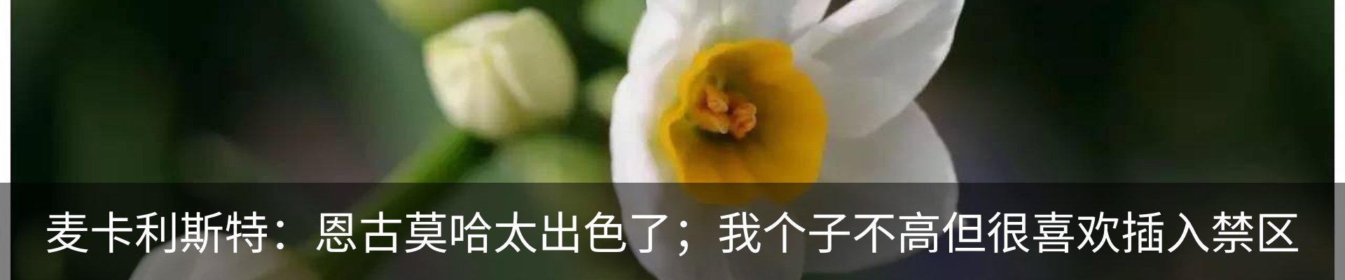 新闻中心